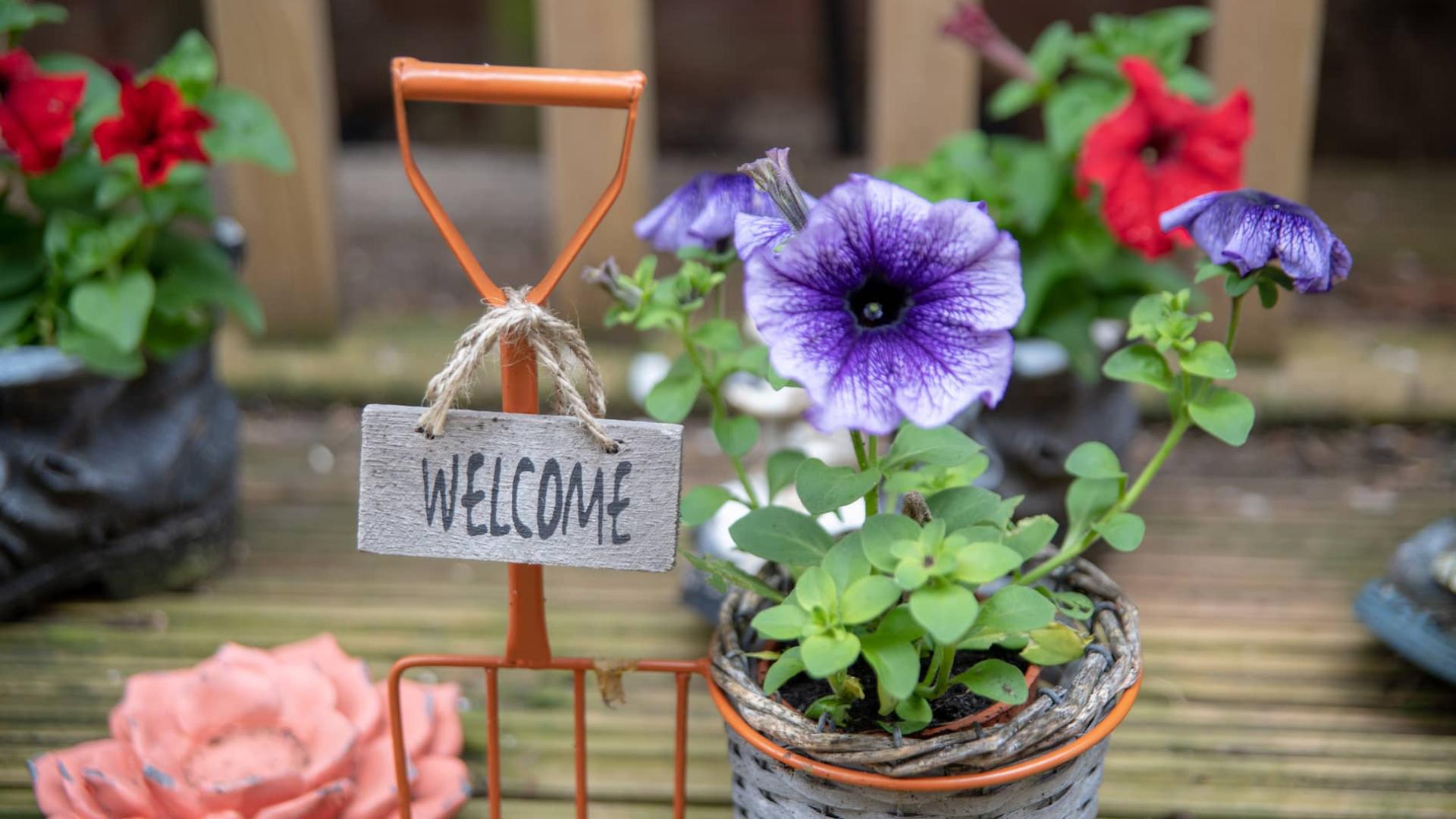 Archers Park Care Home, Farringdon Sunderland, Tyne & Wear